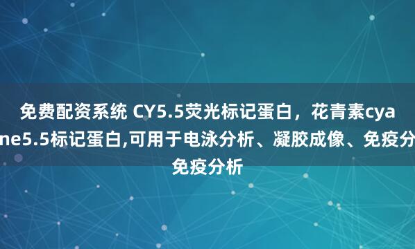 免费配资系统 CY5.5荧光标记蛋白，花青素cyanine5.5标记蛋白,可用于电泳分析、凝胶成像、免疫分析