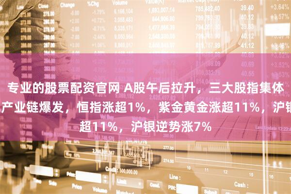 专业的股票配资官网 A股午后拉升，三大股指集体收涨，算力产业链爆发，恒指涨超1%，紫金黄金涨超11%，沪银逆势涨7%