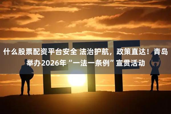 什么股票配资平台安全 法治护航，政策直达！青岛举办2026年“一法一条例”宣贯活动