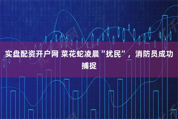 实盘配资开户网 菜花蛇凌晨“扰民”，消防员成功捕捉